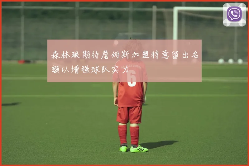 森林狼期待詹姆斯加盟特意留出名额以增强球队实力
